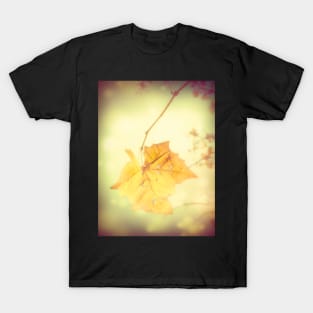 Leaf Autumn Sun T-Shirt